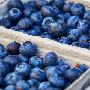 Blaubeeren